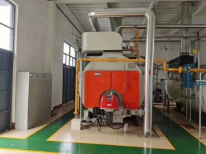 WNS燃油燃氣蒸汽鍋爐