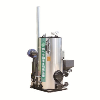 燃氣生物質兩用蒸汽發生器